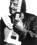 Albert Collins & The Ice Breakers - 1989.07.29 - River Blues Fest, Penn's Landing, Philadelphia, PA