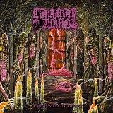 Carnal Tomb - Embalmed In Decay