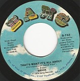 Brick - That's What It's All About/Can't Wait (Tick Tock) (US)