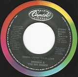 Brenda & The Big Dudes - Gimme Gimme Your Love/Can't Stop This Feeling (Canada)