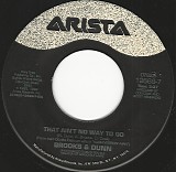 Brooks & Dunn - That Ain't No Way To Go/I Can't Put Out This Fire (US)