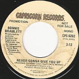 Bonnie Bramlett - Never Gonna Give You Up/Never Gonna Give You Up (US Promo)