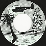 Boys - There's Nothing I Can Do/There's Nothing I Can Do (US)