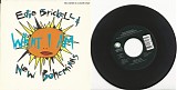 Edie Brickell & New Bohemians - What I Am/I Do (US Picture Sleeve)