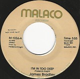 James Bradley - I'm In Too Deep/I'm In Too Deep (US Promo)