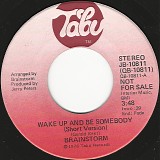 Brainstorm - Wake Up And Be Somebody/Wake Up And Be Somebody (US Promo)