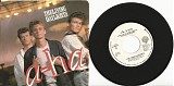 a-ha - The Living Daylights/The Living Daylights (Instrumental) (Canada Picture Sleeve)