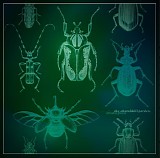 The Churchhill Garden - Metamorphosis