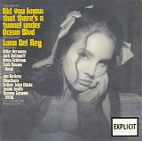 Lana Del Rey - Did You Know That There's A Tunnel Under Ocean Blvd