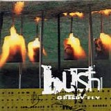 Bush - Greedy Fly