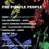 Government, The - Pre-Purple People