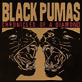 Black Pumas - Chronicles Of A Diamond