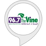 Taylor, Ben - 98.7 The Vine Session WYXL Ithaca NY