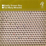 Badly Drawn Boy - Too Many Miracles