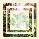 Sunlight Ascending - Echos In Green