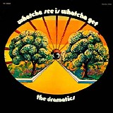 The Dramatics - Whatcha See Is Whatcha Get