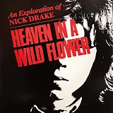 Nick Drake - Heaven In A Wild Flower - An Exploration Of Nick Drake