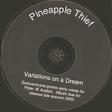 Pineapple Thief, The - Variations On A Dream Early Mixes