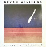 Devon Williams - A Tear In The Fabric