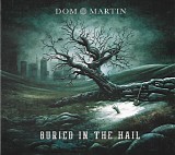 Dom Martin - Buried In The Hail