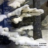 R. Missing - Fakesnow