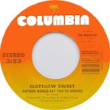 Sweet, Matthew - Blue Fools