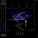 Iruka - Essay