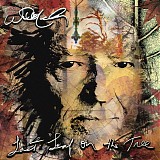 Willie Nelson - Last Leaf on the Tree