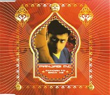 Panjabi MC & Jay-Z - Beware Of The Boys (Mundian To Bach Ke) (Jay-Z Remix Edition)