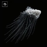 The New Division - Spiral Descent