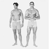 Sparks - Plagiarism