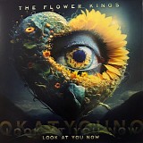 Flower Kings, The - Look At You Now