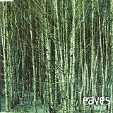 Leaves - Silence