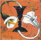 Toad the Wet Sprocket - Dulcinea