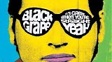 Black Grape - It's Great When You're Straight... Yeah