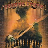 George Lynch - Furious George