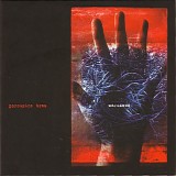 Porcupine Tree - Warszawa (Live on Polish Radio, April 6, 2001)