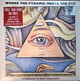 Various artists - Where The Pyramid Meets The Eye (A Tribute To Roky Erickson)