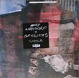 Mary Lattimore & Growing - Gainer