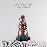 Blossom Toes - If Only For A Moment