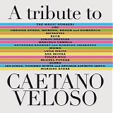 Magic Numbers, The - A Tribute To Caetano Veloso