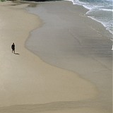 Autumn Defense, The - Here And Nowhere