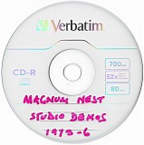 Magnum - Nest Studio Demos