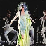 Björk - Vulnicura Strings
