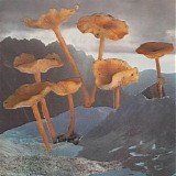 Nightflyer - Ocean Dream