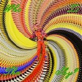 David Byrne - Who Is The Sky?