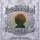 Out Of Phase - Acoustic Ladyland - A Tribute to Jimi Hendrix