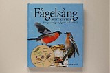 Fågelsång - Fågelsång Runt Knuten