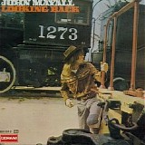 Mayall, John (John Mayall) - Looking Back