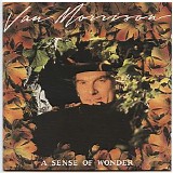 Morrison, Van (Van Morrison) - A Sense Of Wonder